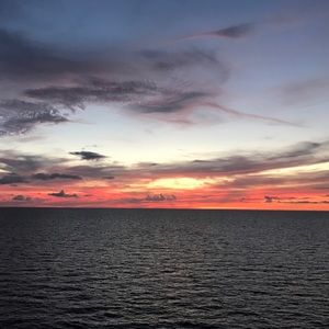 Meet your Posher, Angelina